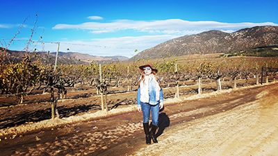 Valle de Guadalupe, Ruta del Vino, Ensenada, Baja California, México